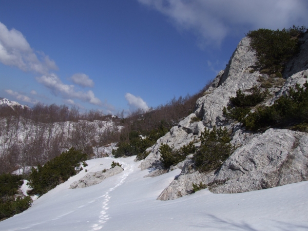 La Valle di Canneto (FR) Parco Nazionale D''Abruzzo